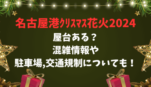 名古屋港ｸﾘｽﾏｽ花火2024屋台ある？混雑情報や駐車場,交通規制についても！